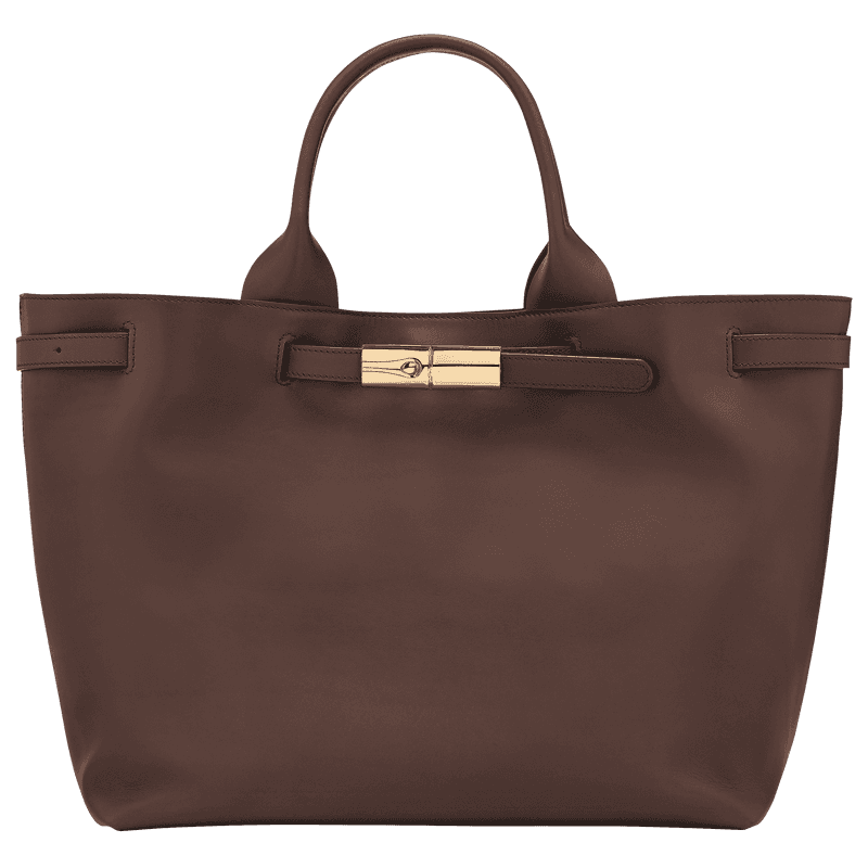Longchamp L Smart Handbag in Mocha