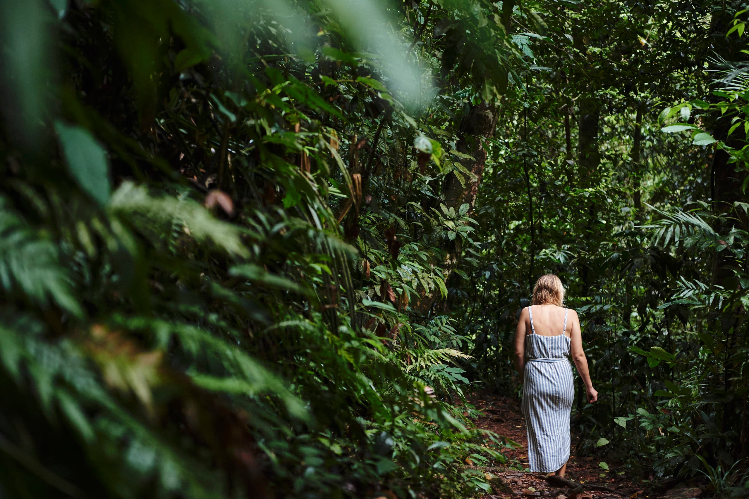Wellness Spa, Daintree EcoLodge