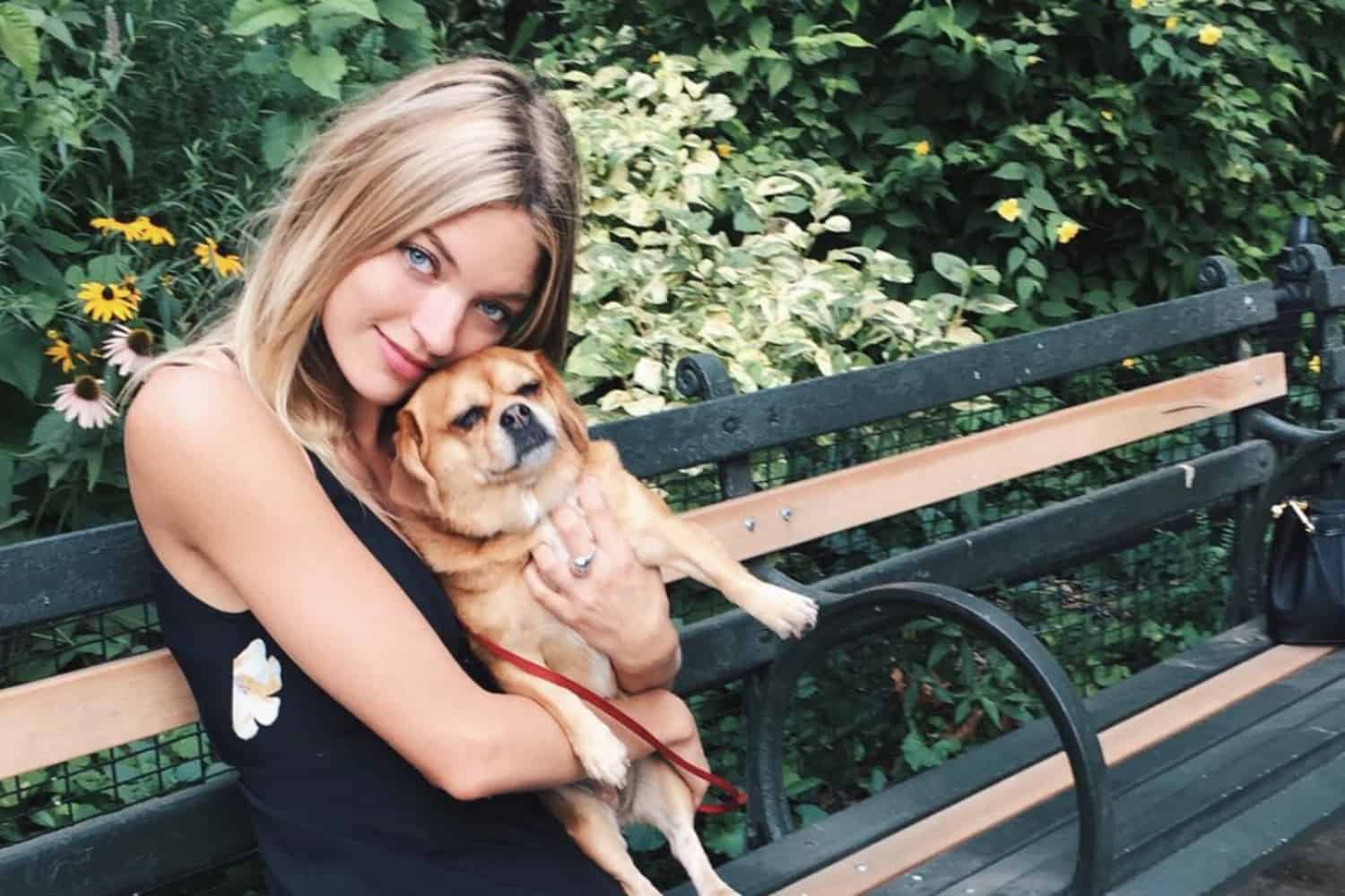 Cosmetics Animal Testing: Ethical Beauty Scores Global Wins