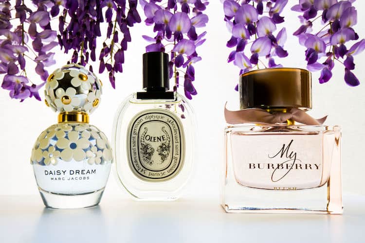 Three Of The Best Wisteria Scents
