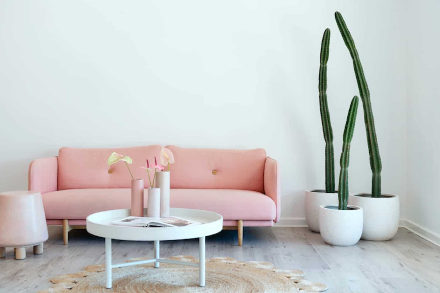 Blush pink sofa and houseplants in the chic, minimalist interior of Olive & July salon in Subiaco