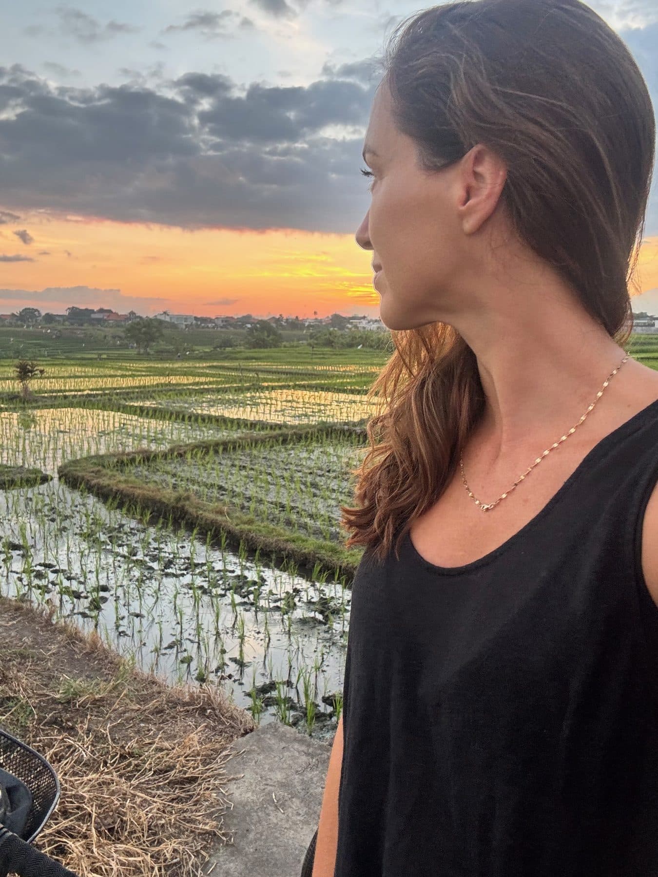 Looking out across the flooded rice terraces at sunrise near Escape Haven, Canggu