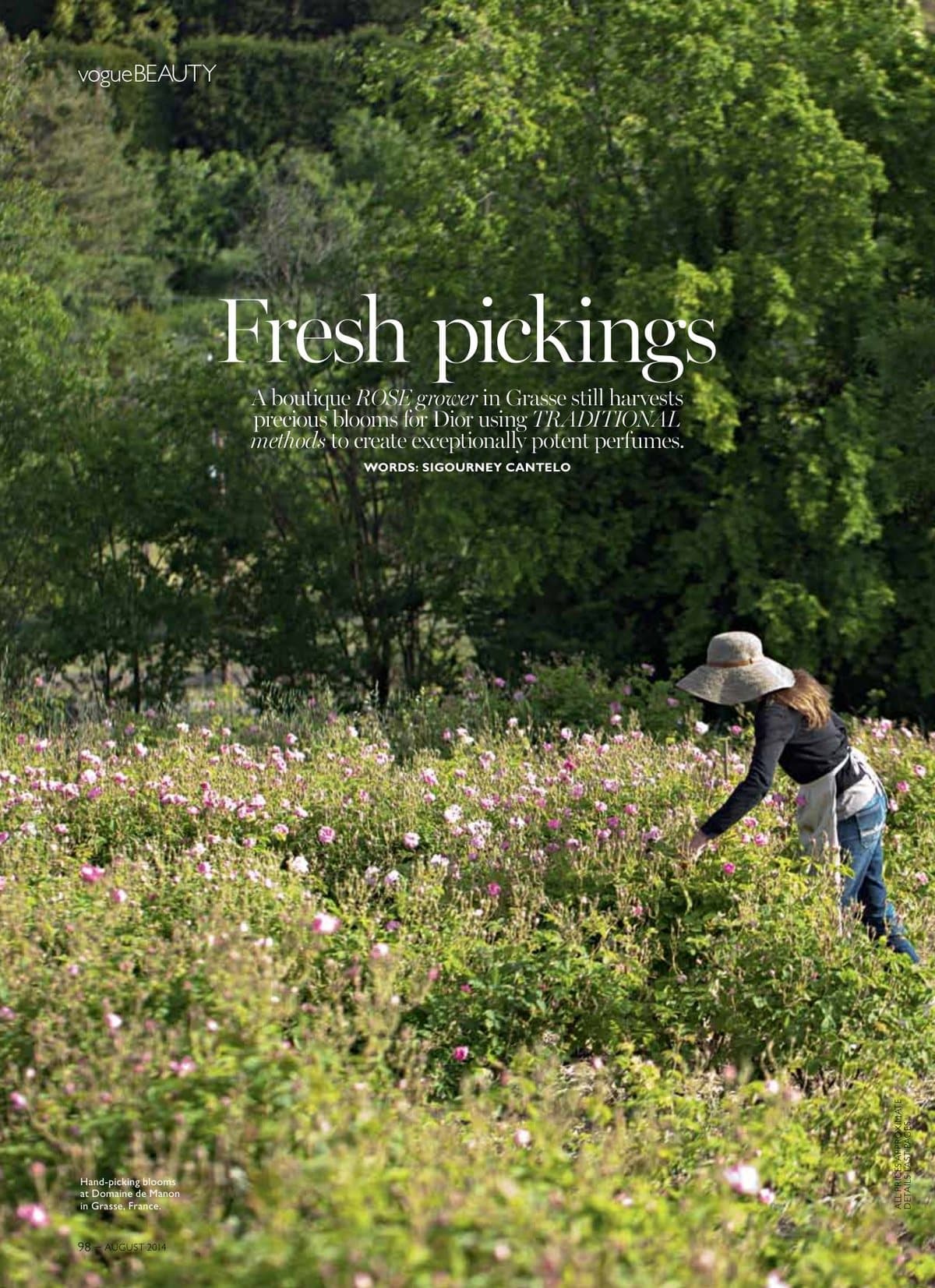 Visiting The South of France with Dior