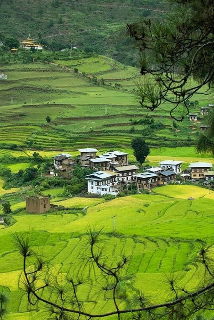 33cffd5e3f82fec109bf8c976415ce3b nepal tibet bon voyage