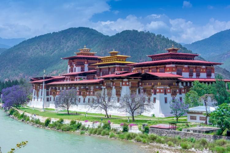 Punakha in june boxx
