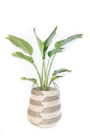 Garden Life Charmer Basket