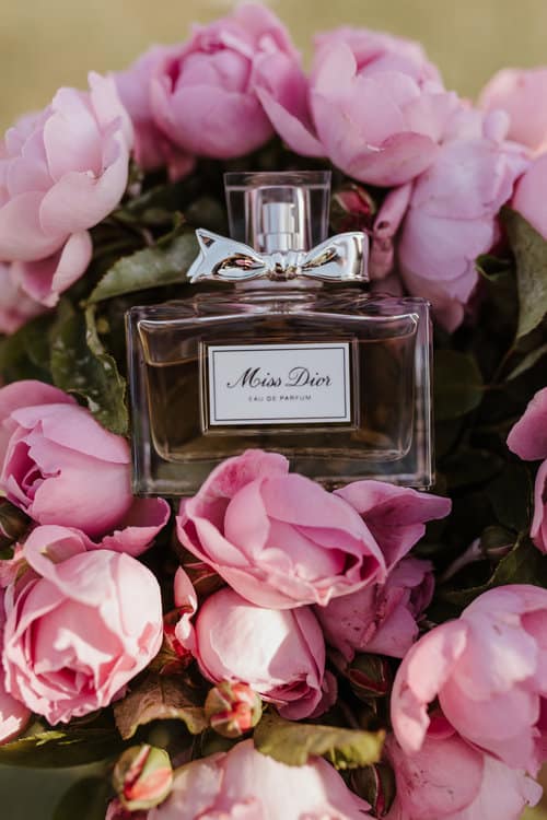 Missdior Of
