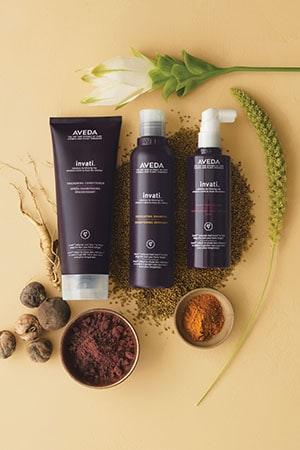 Avedaportrait