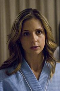 Sarah Michelle Gellar in the Grudge