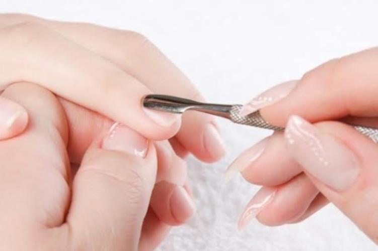 Anicure 2