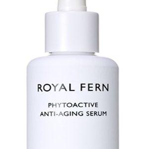 Us Royal Fern
