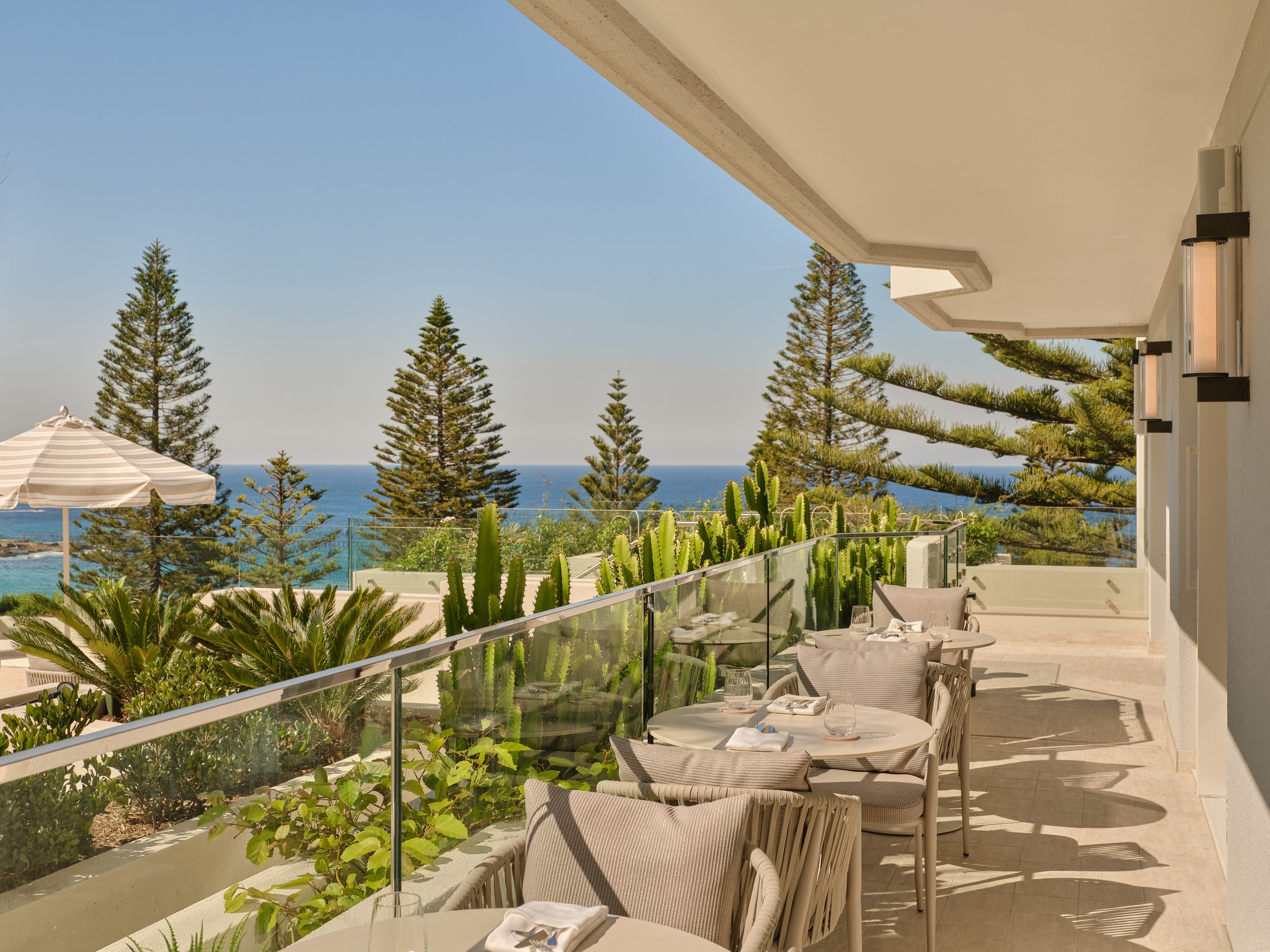 The Club lounge terrace at golden hour, tables set above the Norfolk pines and the ocean