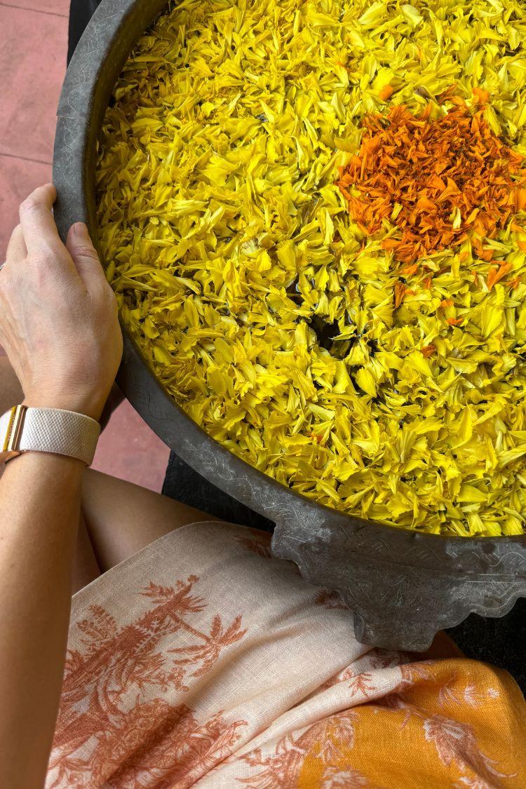 Kerala’s Temples: A Glimpse into the Divine