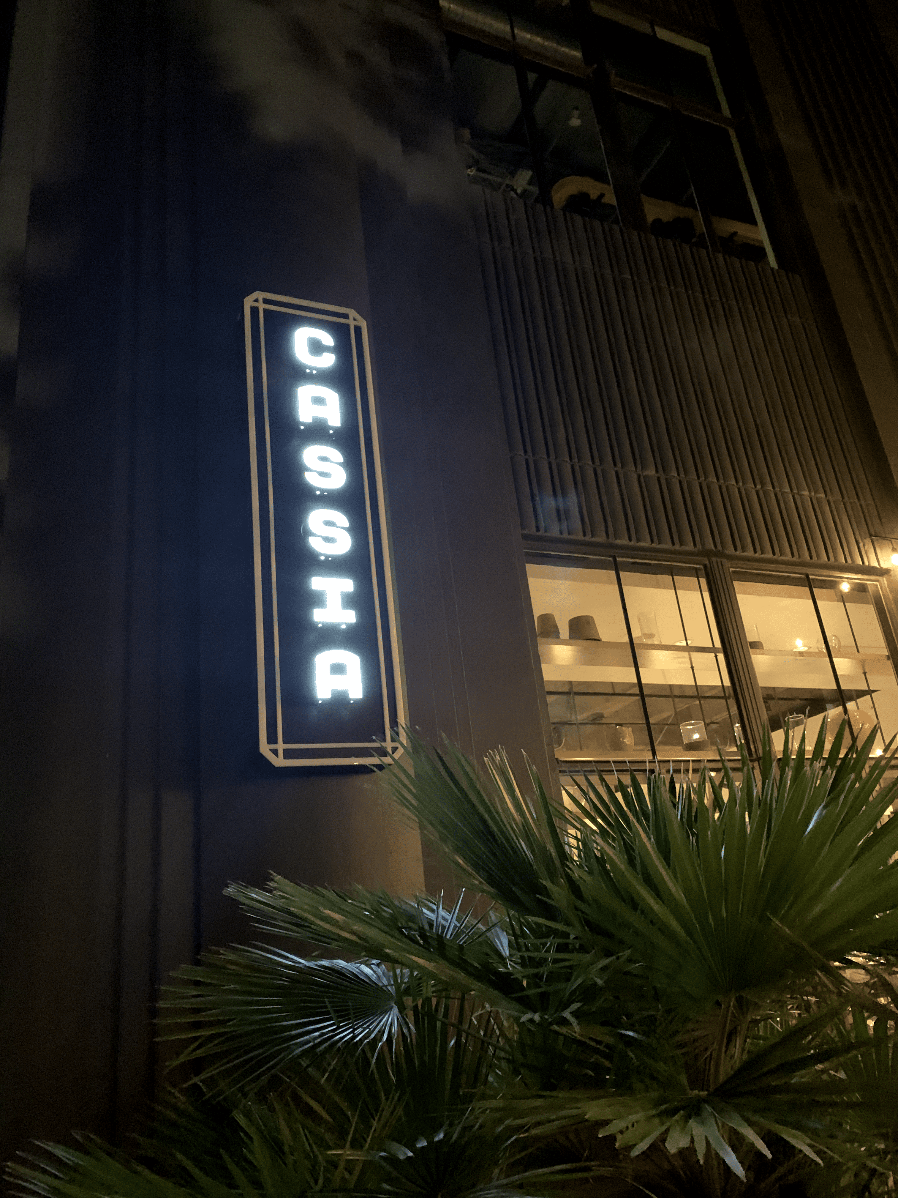 Cassia