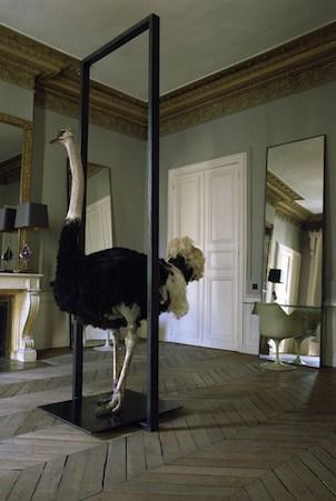 David mallett paris 04