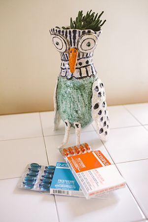 Karen’S Colourful Birdy Vase And Her Hair Secret, Snobgirls Capsules