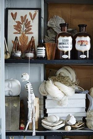Sibella Still Life