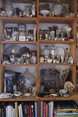 Sibella Still Life