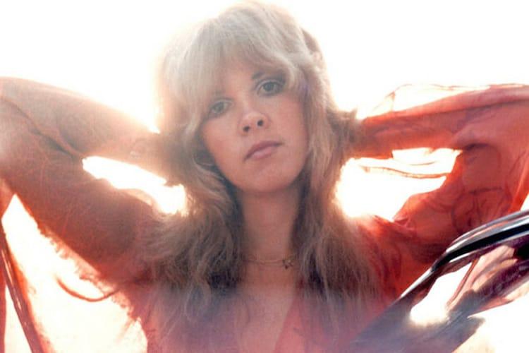 Stevie Nicks signature flowing hair