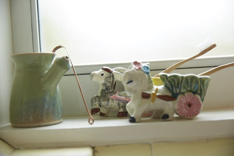 Kirsten Shanks zen home and clean living