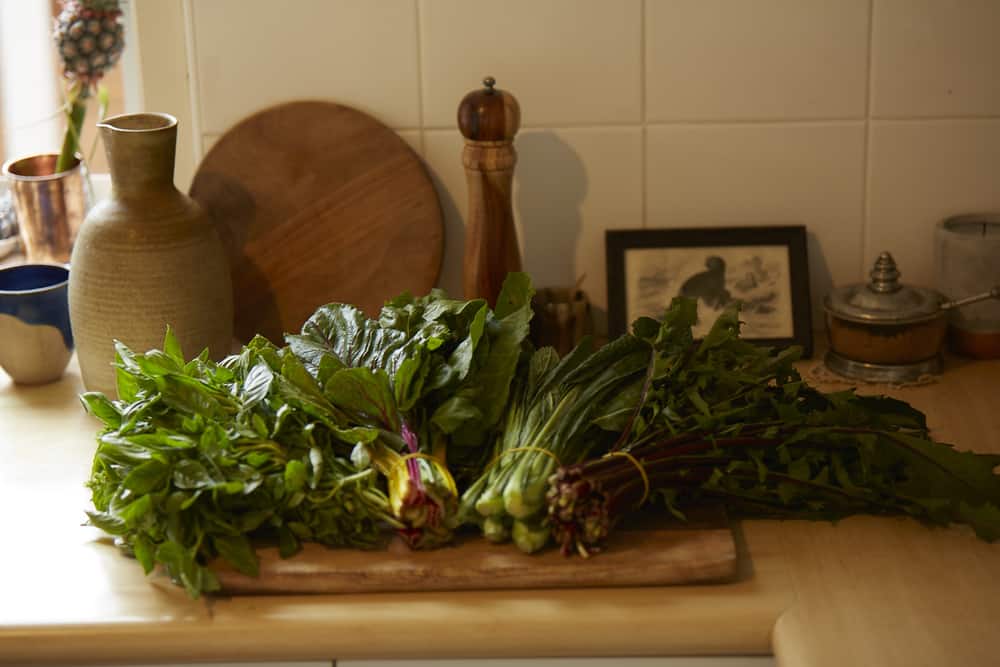 Kirsten Shanks juice and smoothie ingredients