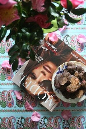 Abigail Satisfies Cravings with Raw Chocolate Creations