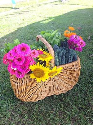 Abigail Loves Picking Fresh Flowers from Her Garden