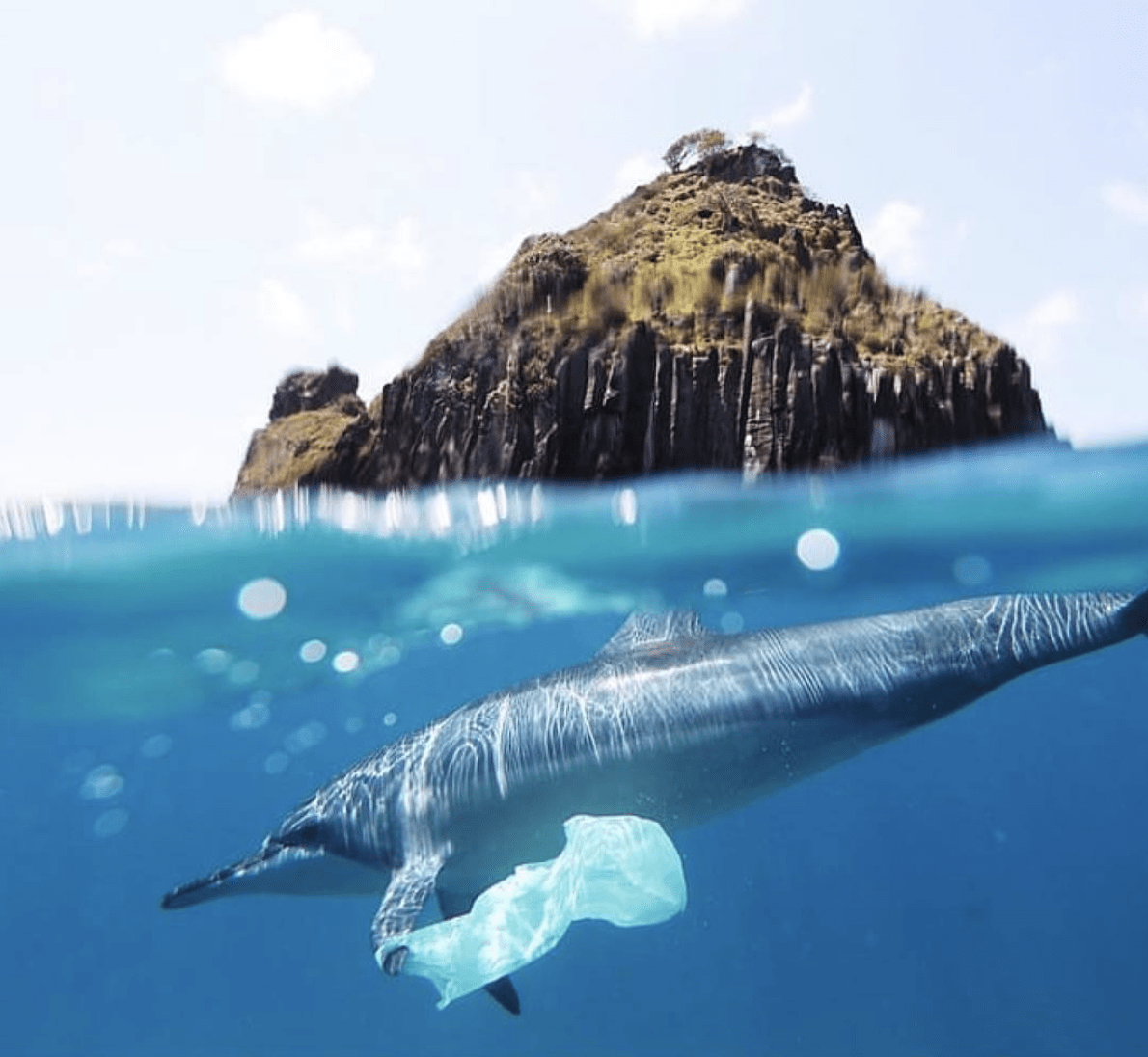 Instagram @freefromplastic