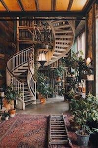 Plants
