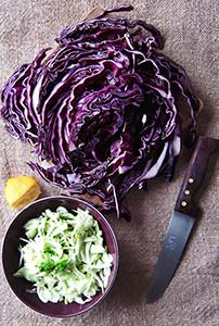 Cabbage Salad Fenneland Cabbage