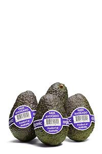Hass Avocados
