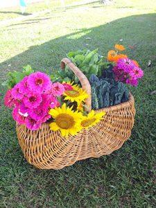 Abigail O’Neill, Model & Author - Beauticate