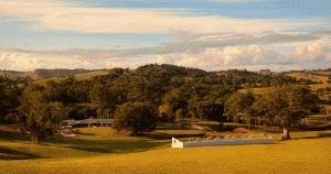 BYRON HINTERLAND