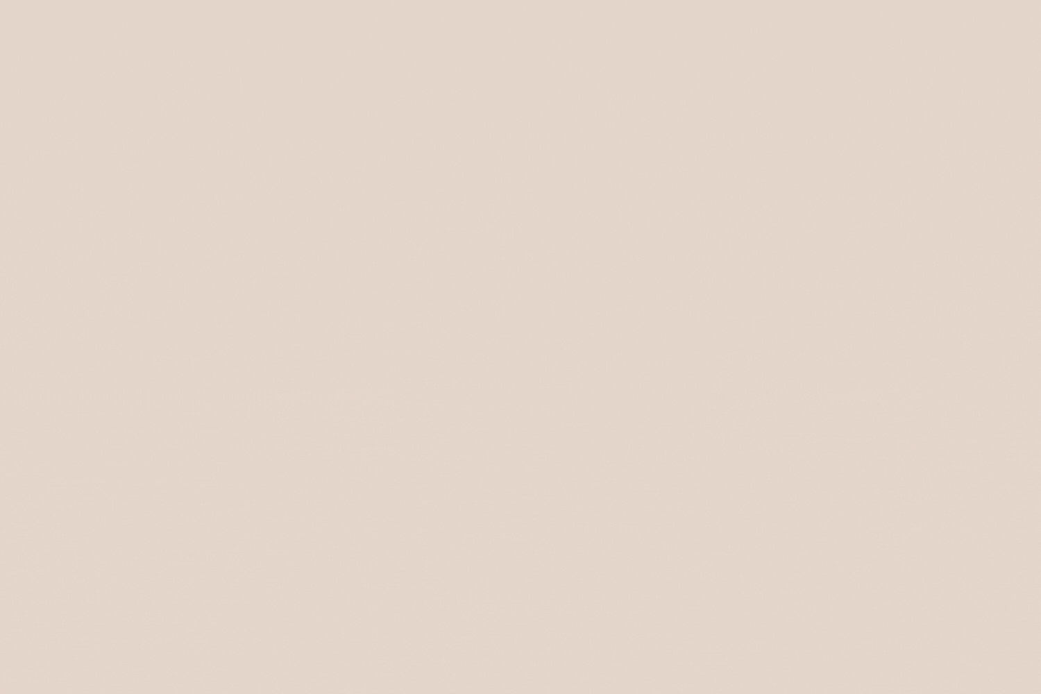 Christmas Gift Guide