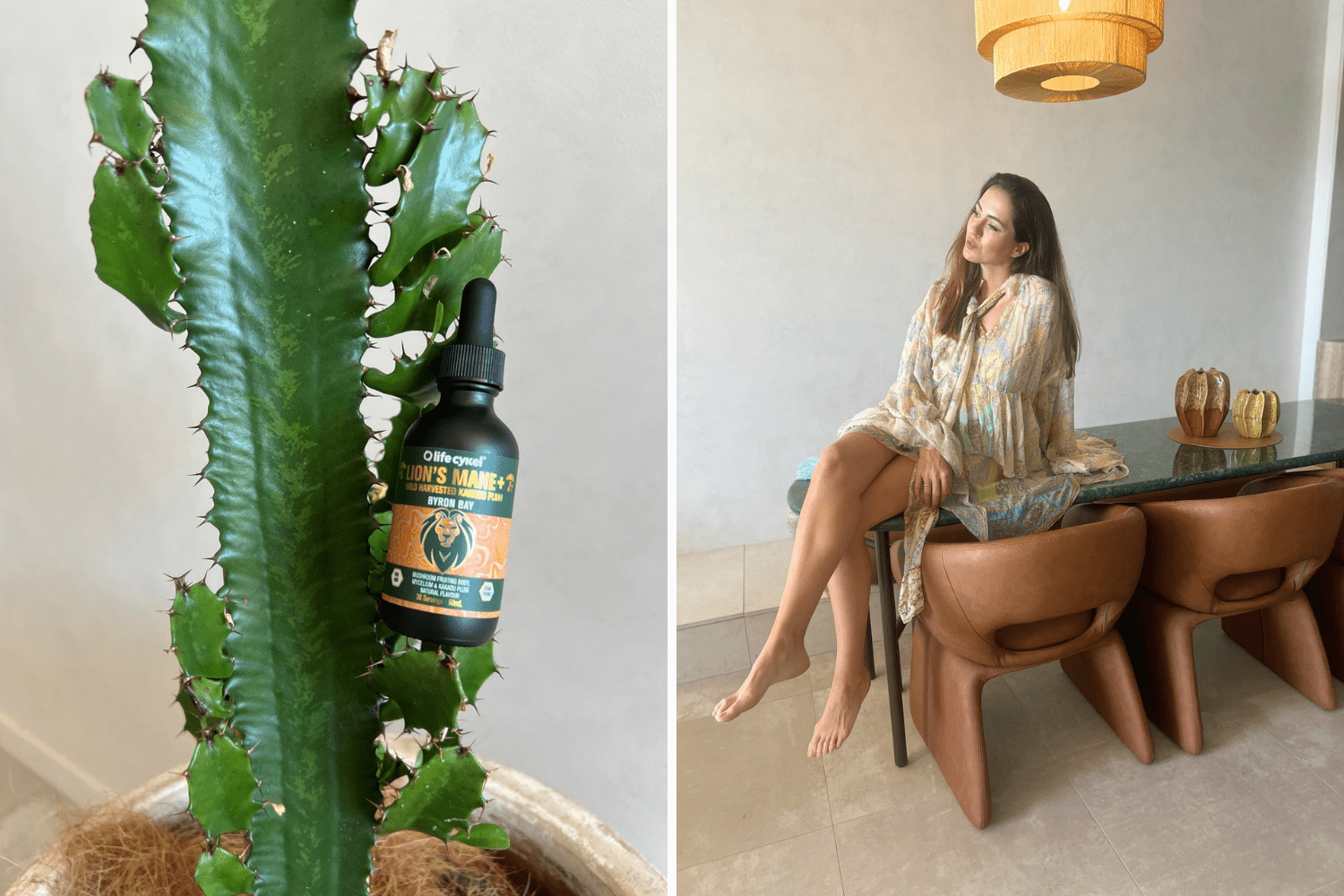 Mondrian Images Word Press (2)